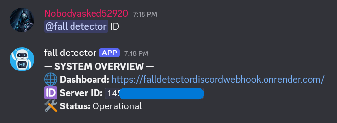 Execution Image