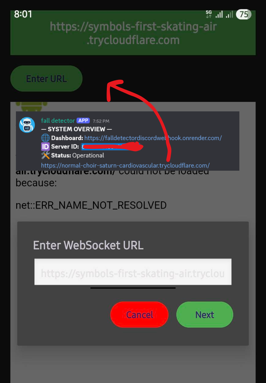 Execution Image